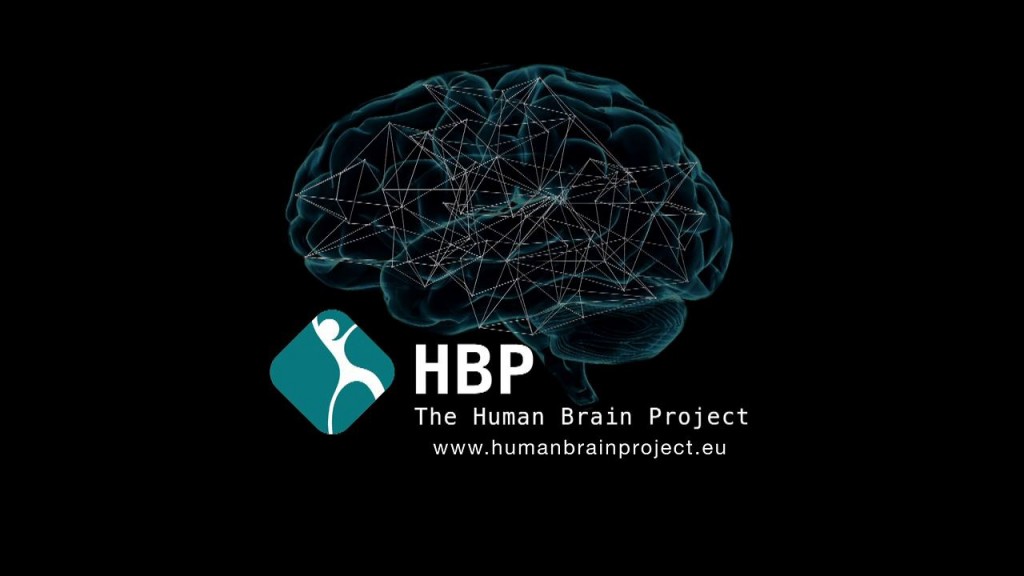 Human-Brain-2