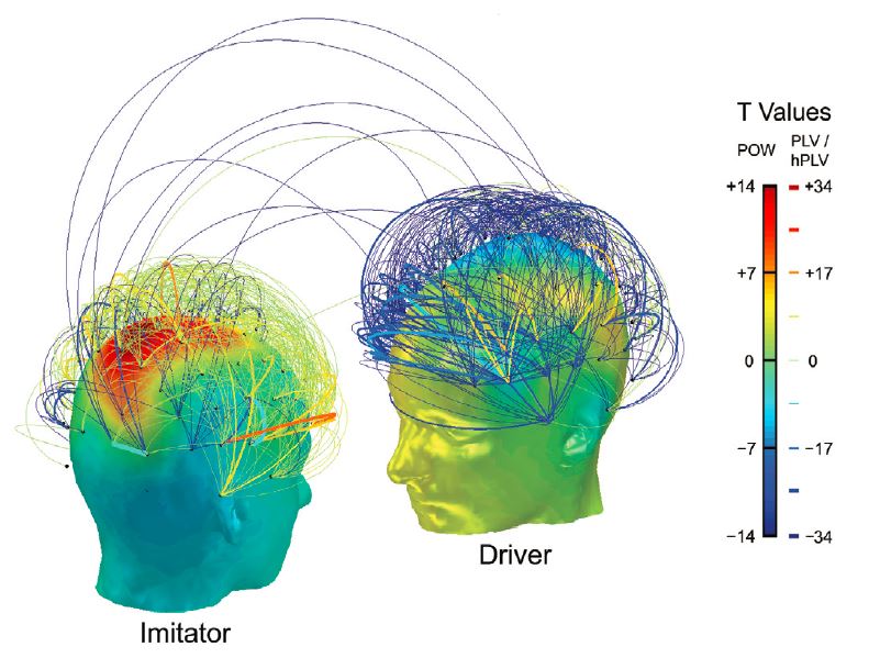 Hyperscanning avec conducteur et imitateur